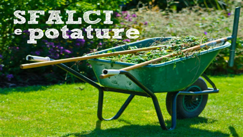 servizio di raccolta di verde, sfalci e potature